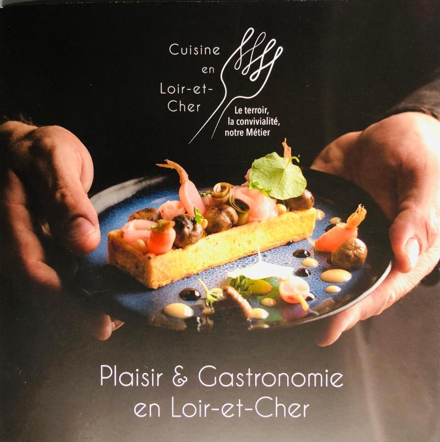 La Porte Aux Dames Romorantin-Lanthenay Eksteriør billede